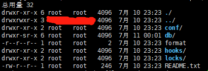 docker运行svn